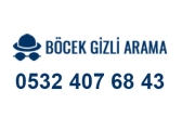 Böcek Gizli Arama